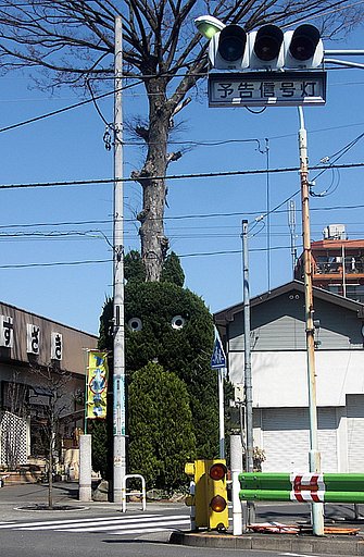 トトロ