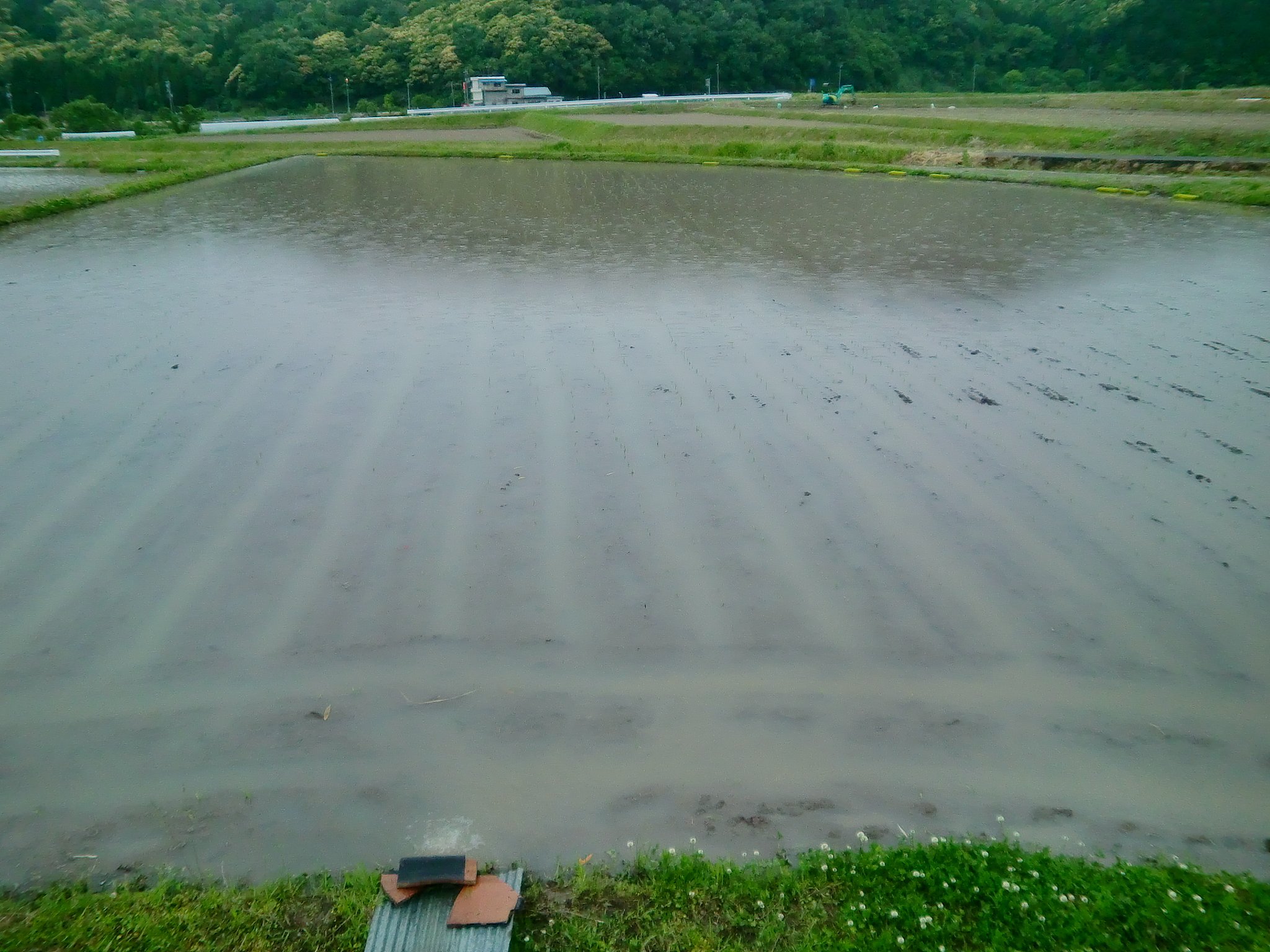 ヤット一つめの田植えをした!
