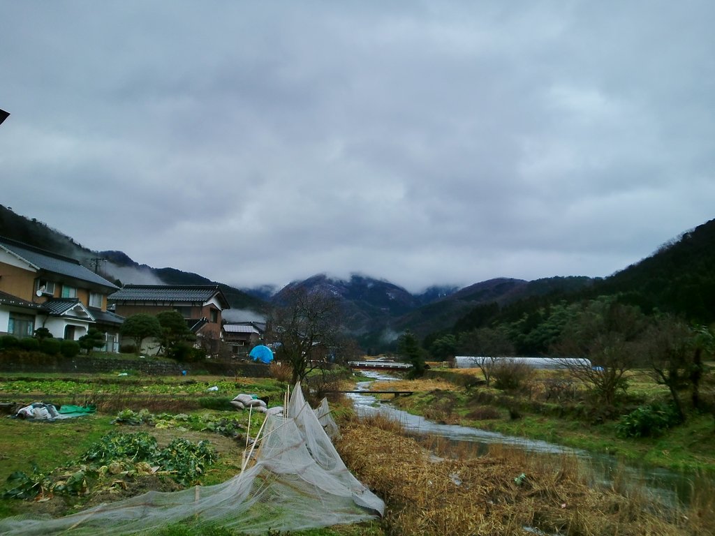 薄暗い田舎の朝