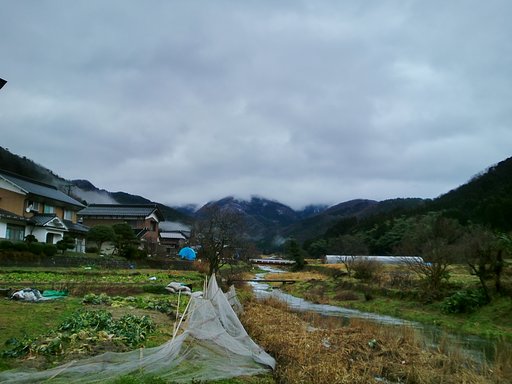 薄暗い田舎の朝