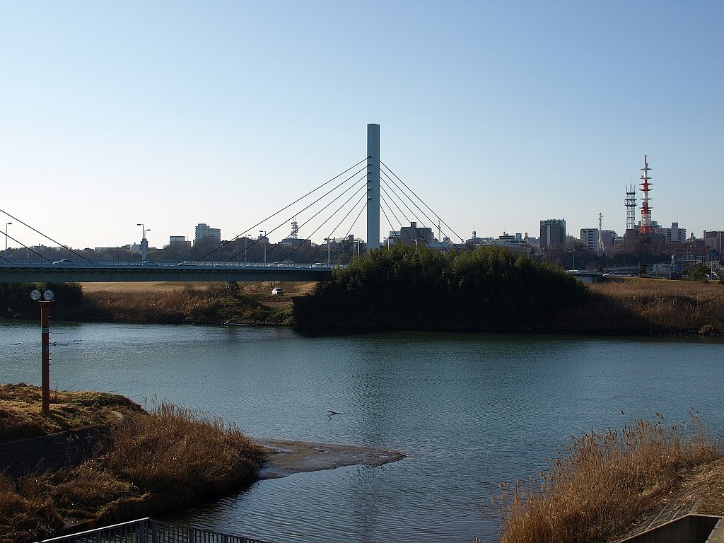 橋