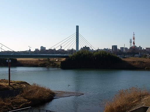 橋