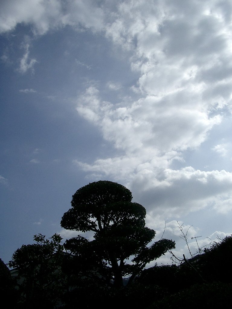 真昼の雲
