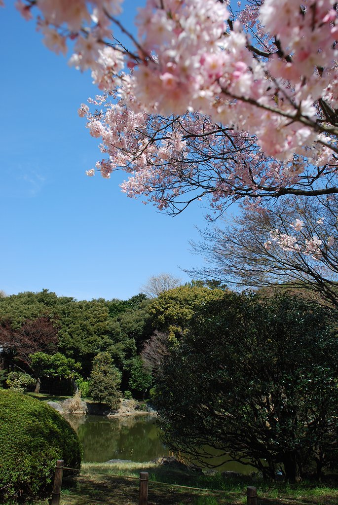 国立博物館の庭園
