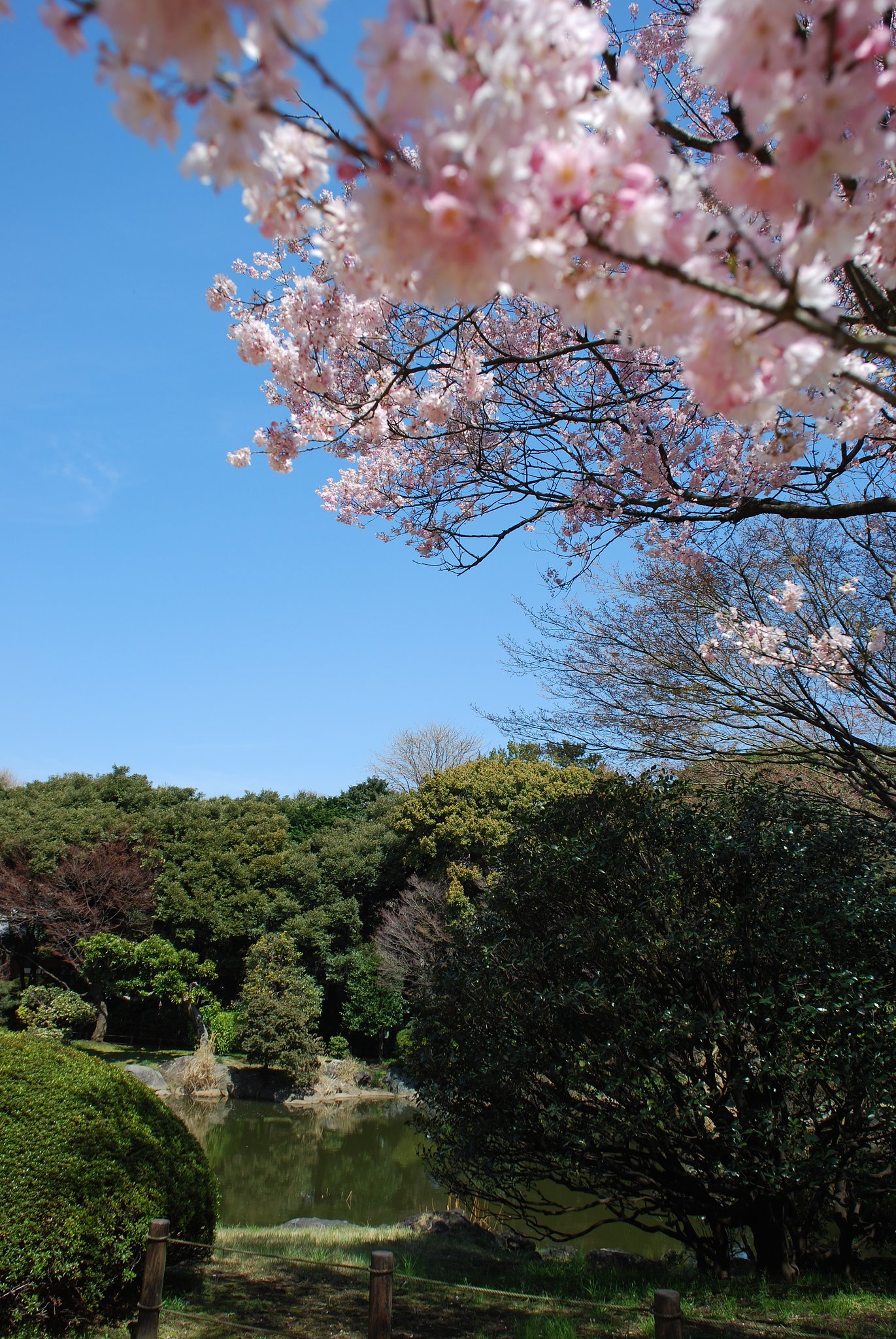 国立博物館の庭園