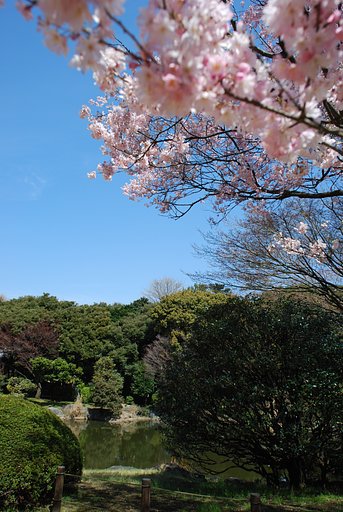 国立博物館の庭園