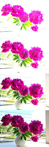 「芍薬」明るさ 0EVから-3EV