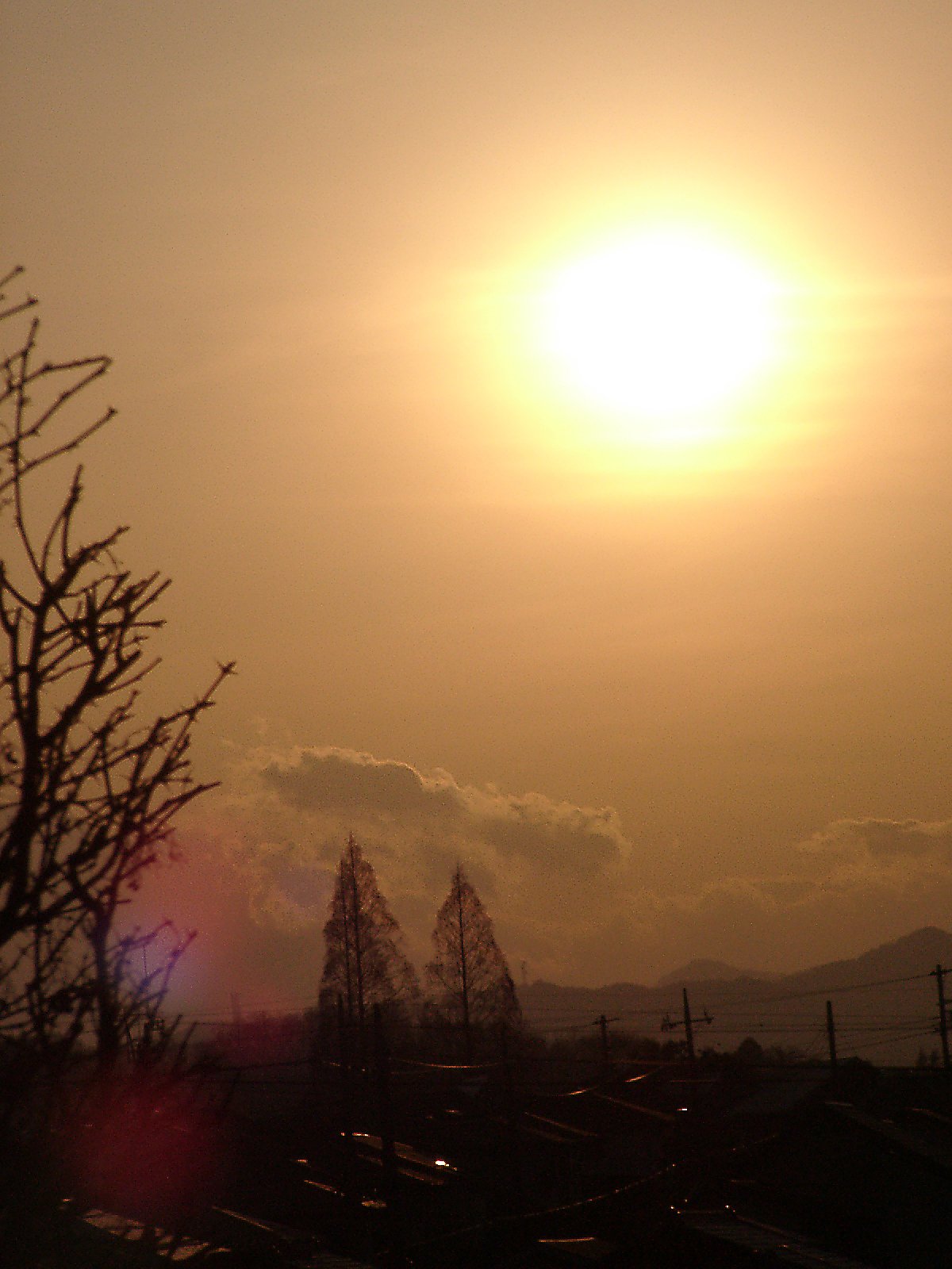 ▲日本画風の夕暮れ-30