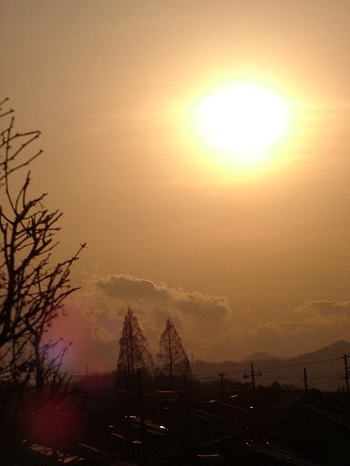 ▲日本画風の夕暮れ-30