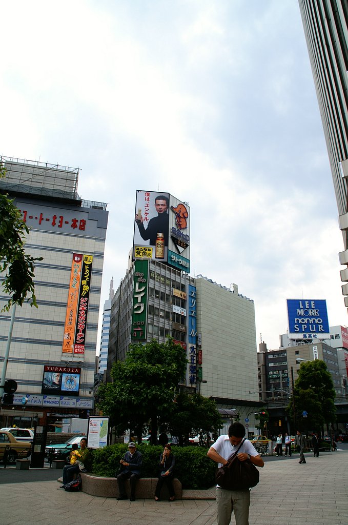これが全体で