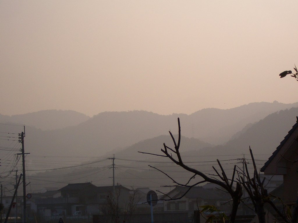 黄砂？