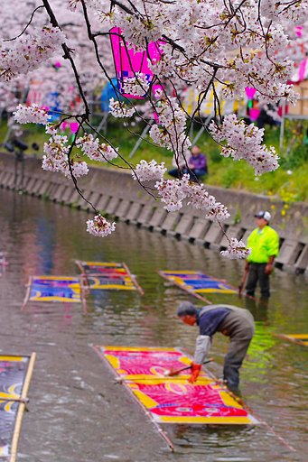 のんぼり洗い