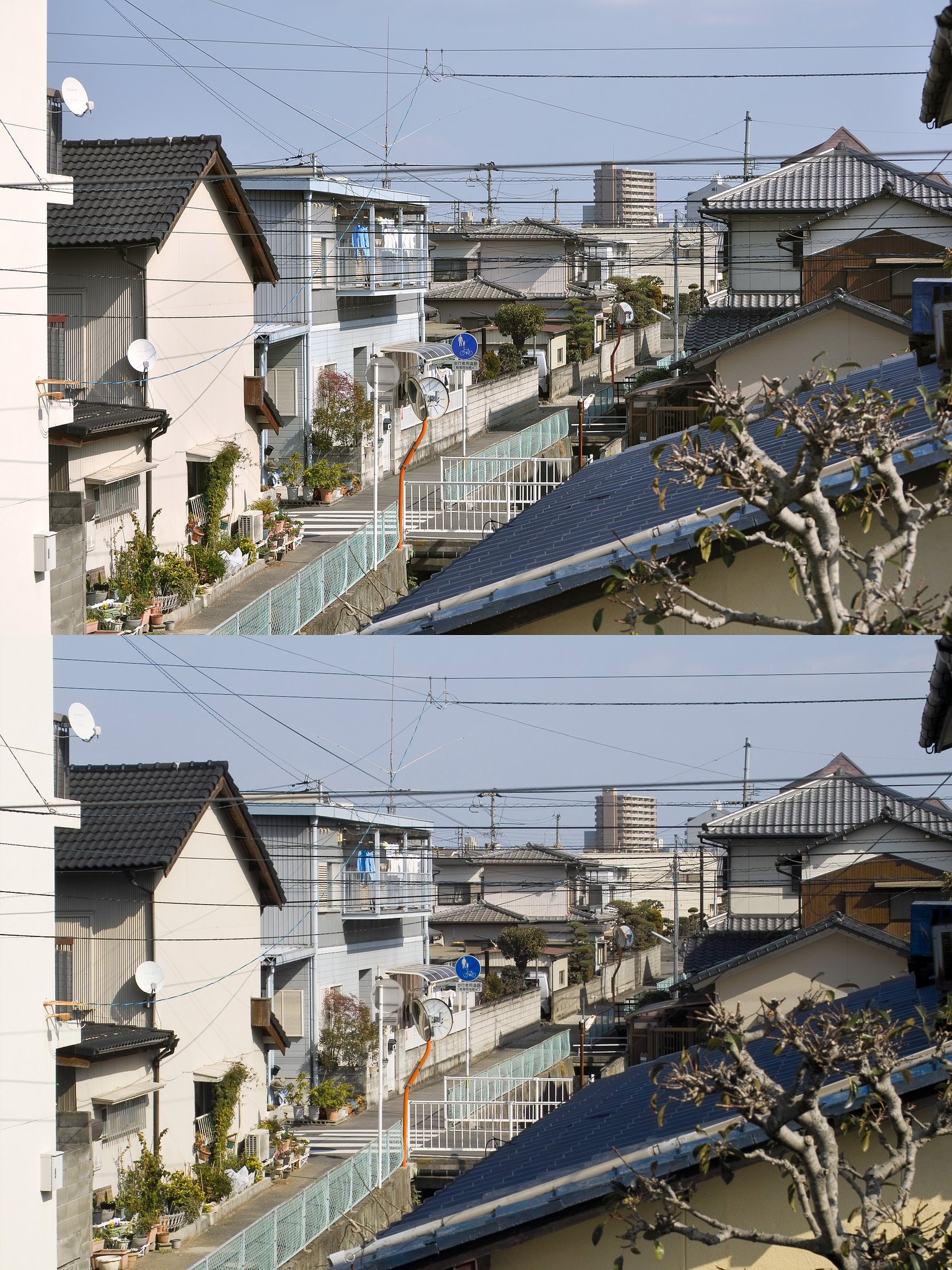 ブラインド　テスト