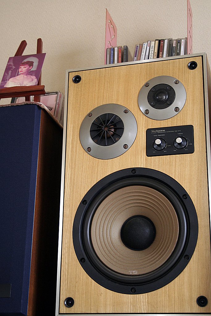 Beautiful woman speaker