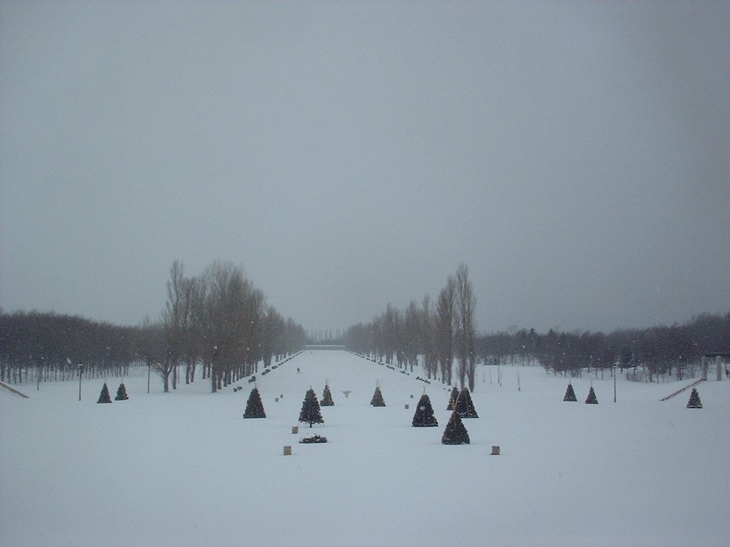 冬の公園