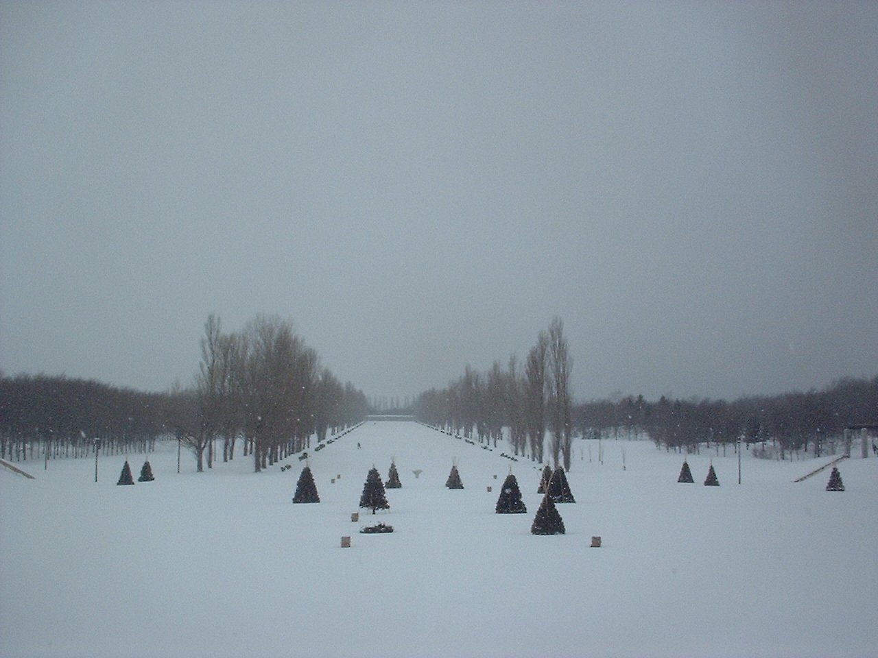 冬の公園