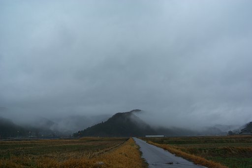昨日雨続きで今朝も水墨画の世界