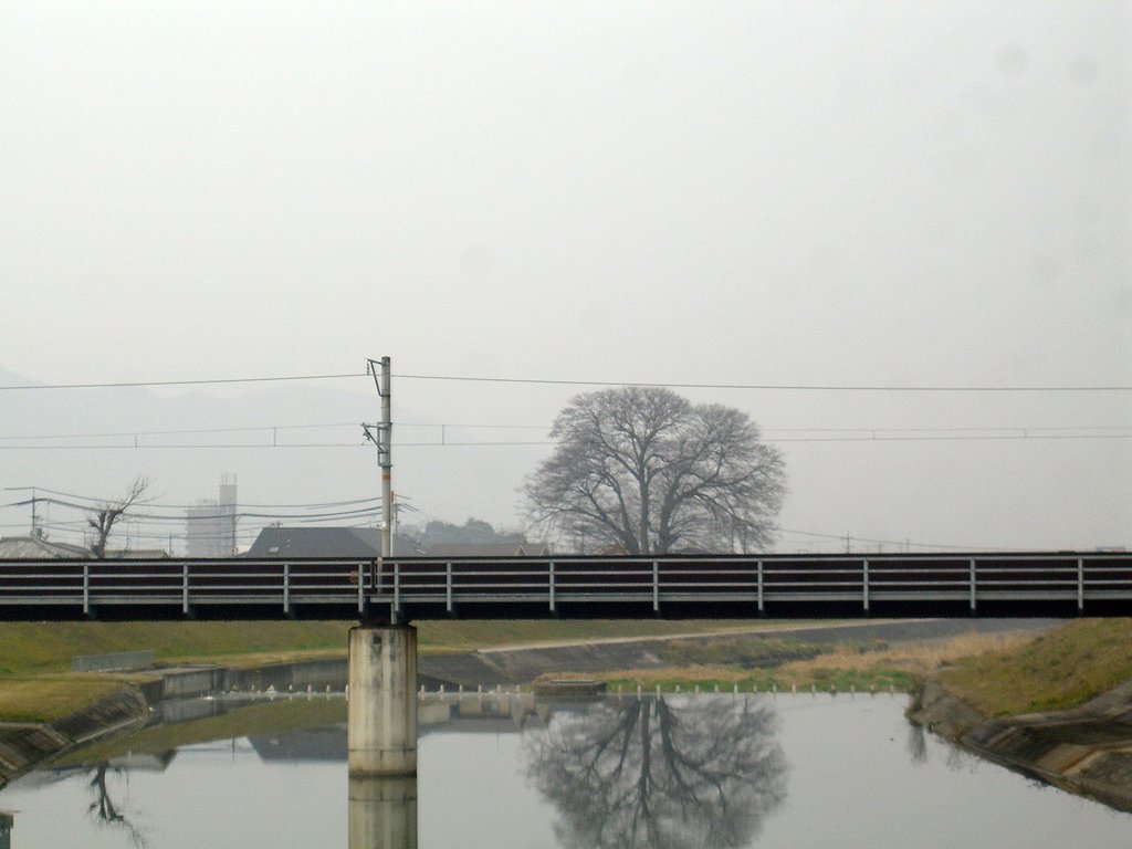 シンメトリー