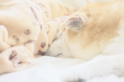 ｚＺｚＺＺ２ｚzZZZzzzZｚｚＺＺＺ