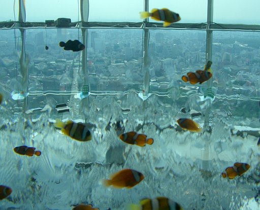 熱帯魚と街並み