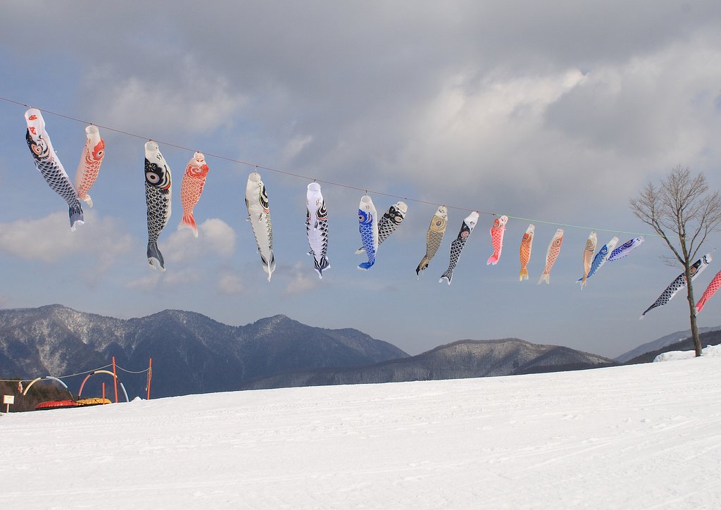 雪山の鯉のぼり
