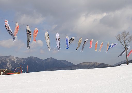 雪山の鯉のぼり