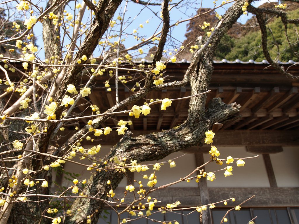 香りに誘われて