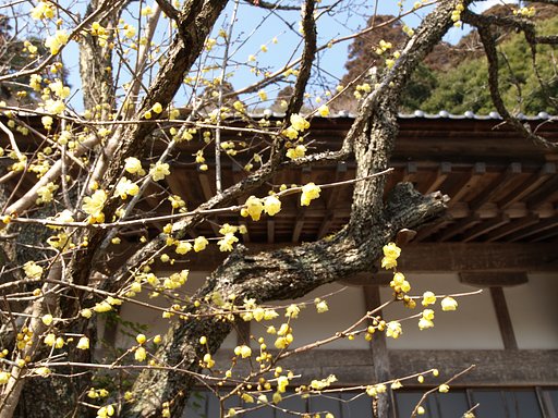香りに誘われて