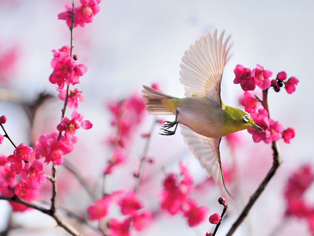 春の訪れ