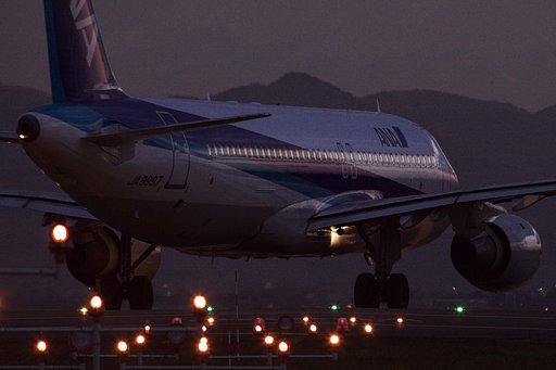 旅情