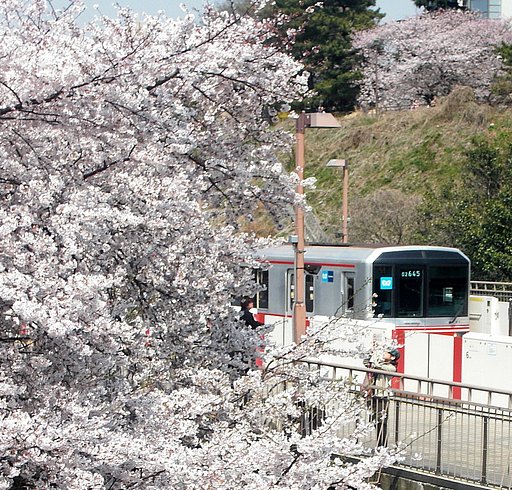 桜と地下鉄