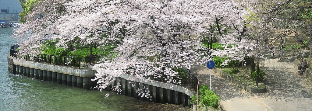 土佐堀川ステッチ