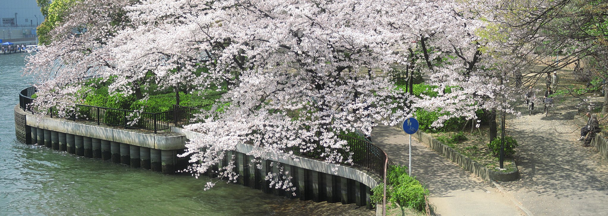 土佐堀川ステッチ