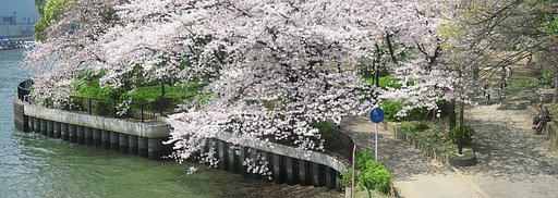 土佐堀川ステッチ