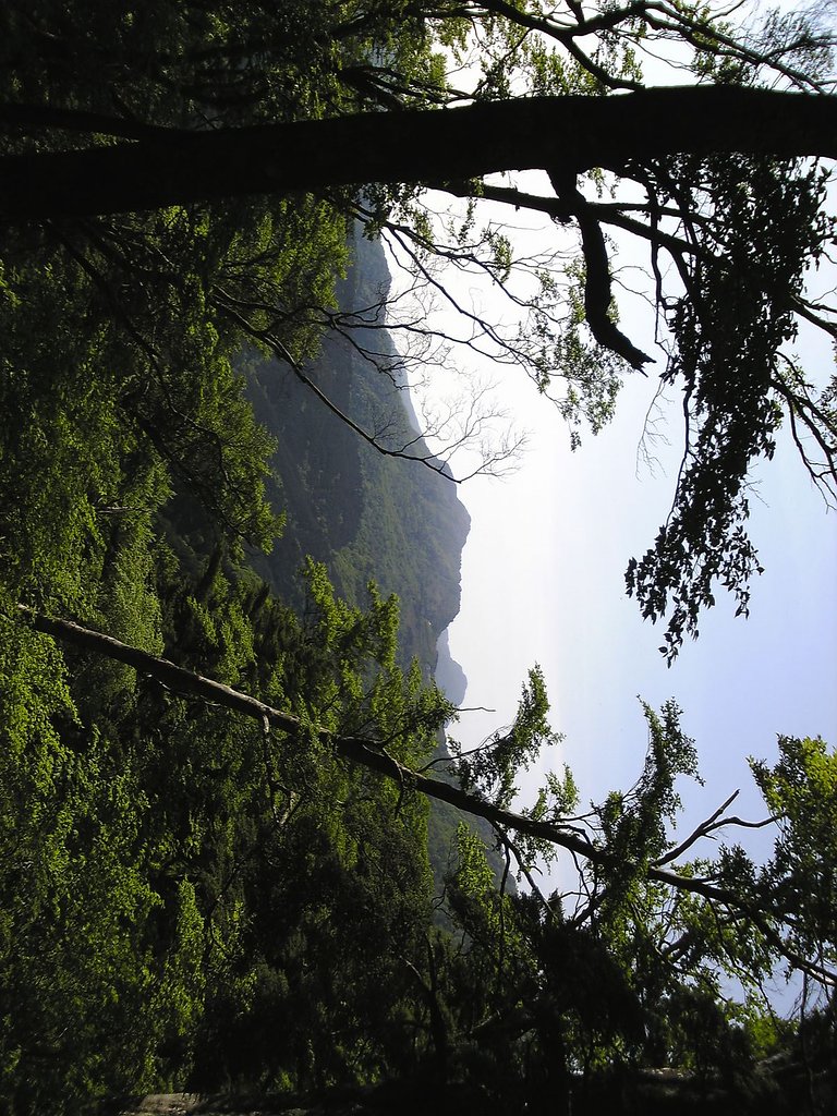 石鎚山の山頂へ向かう