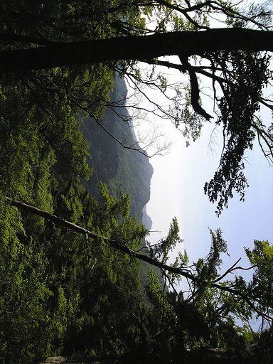 石鎚山の山頂へ向かう