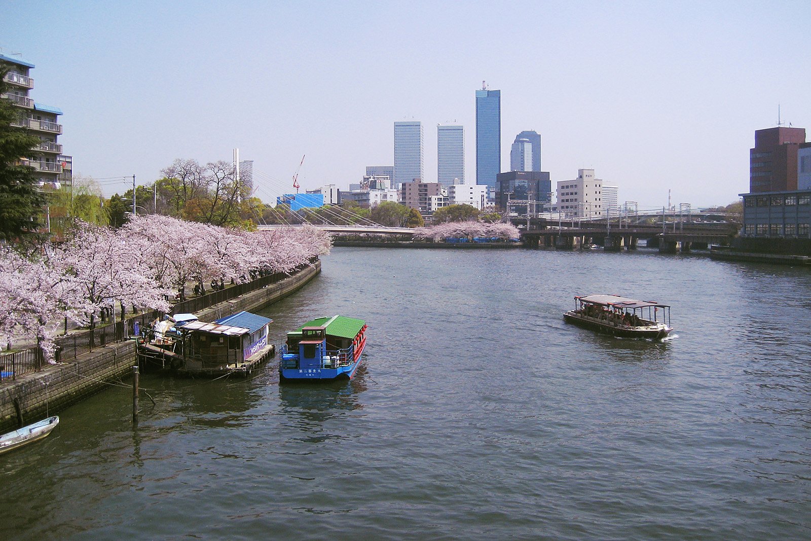 土佐堀川の花見舟