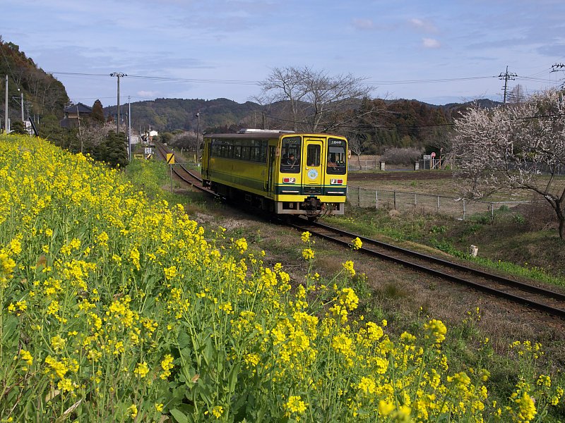 菜の花鉄道