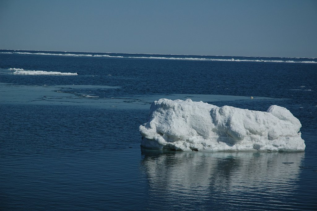 流氷