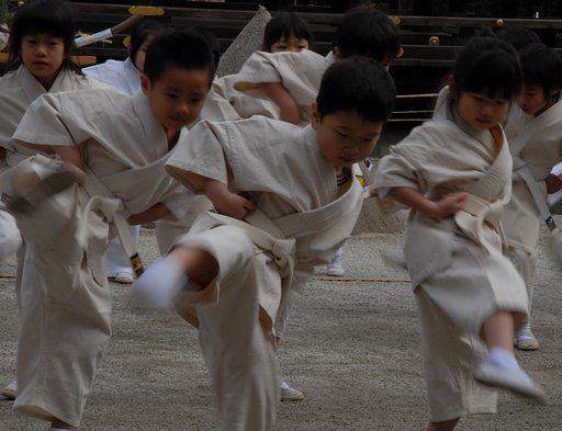 小さな武道か達