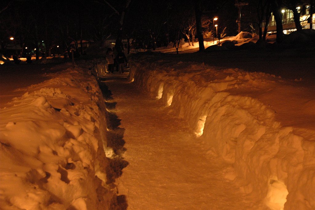 【自然】雪道