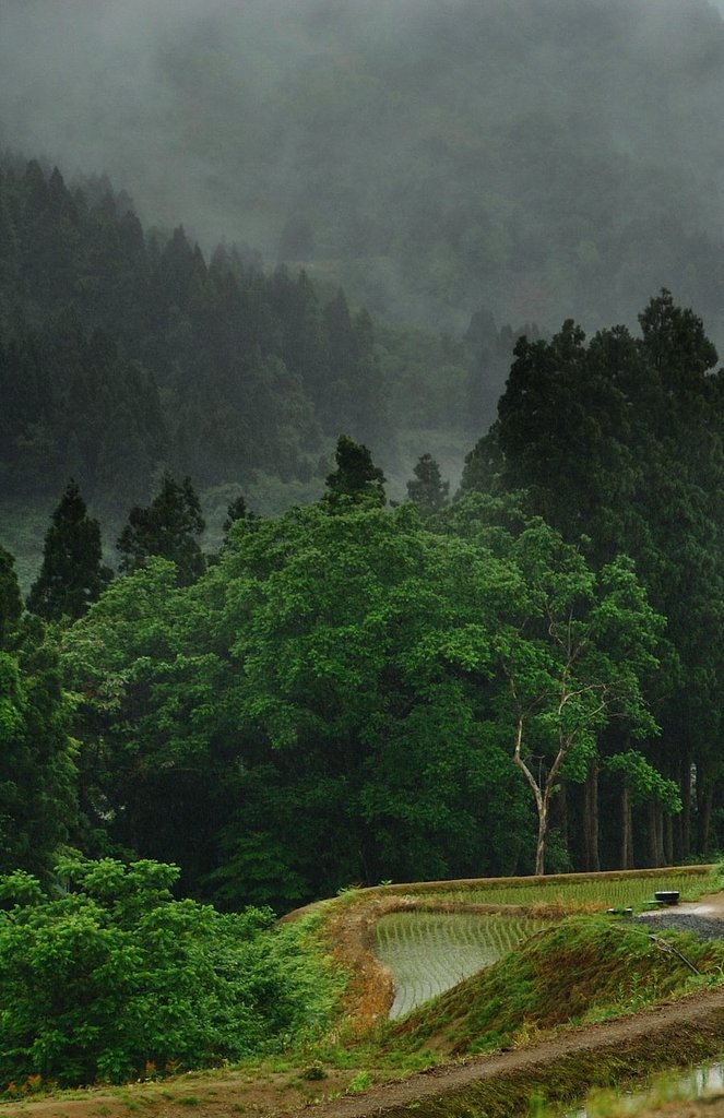 山古志雨情