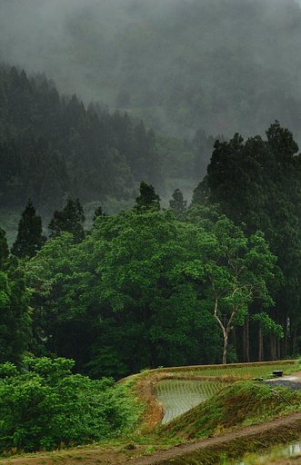 山古志雨情