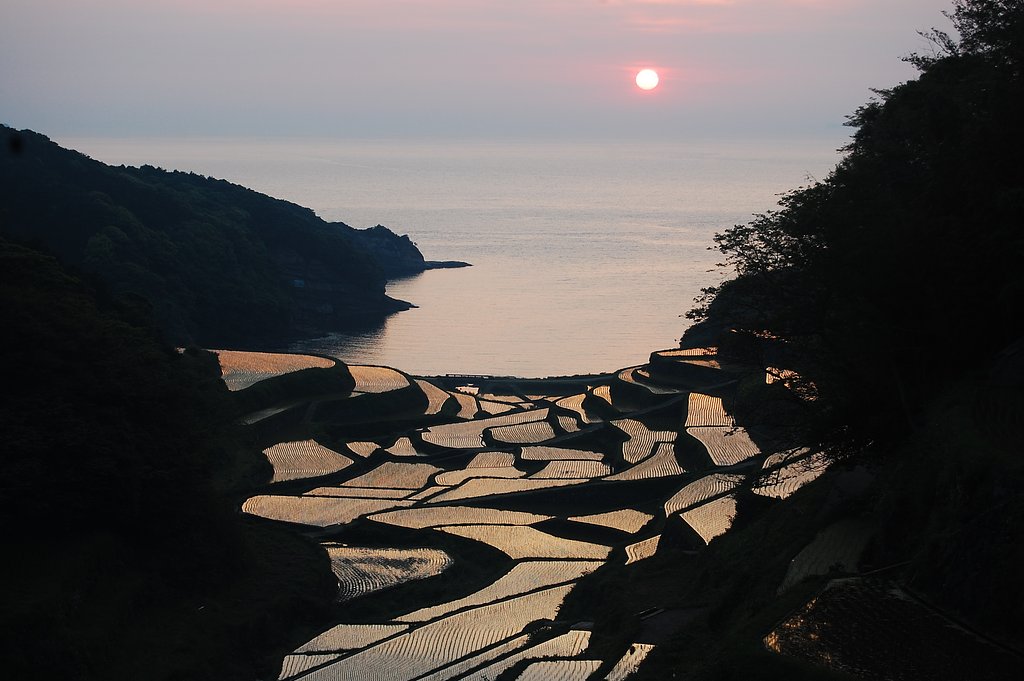 浜野浦の棚田