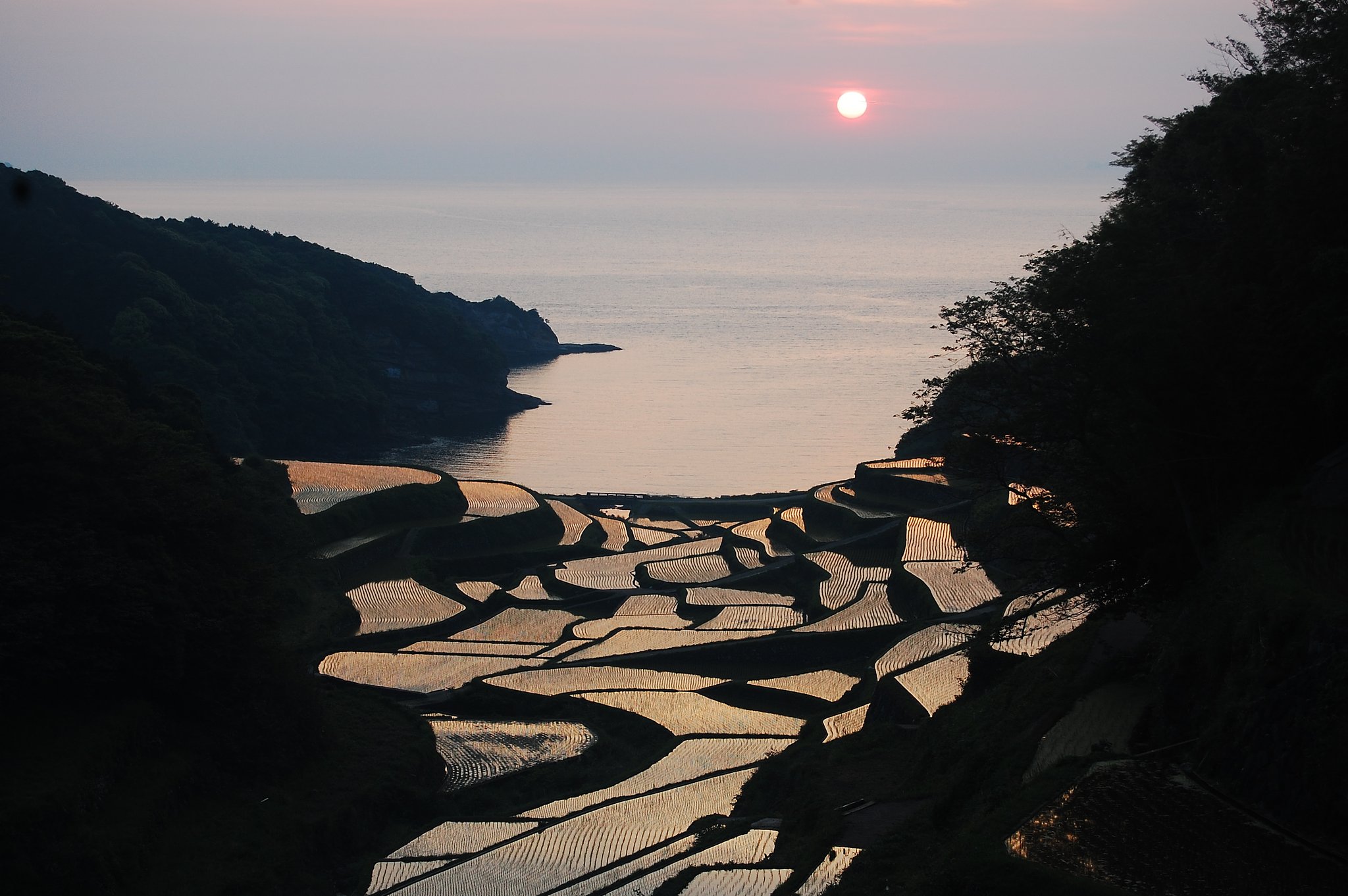 浜野浦の棚田