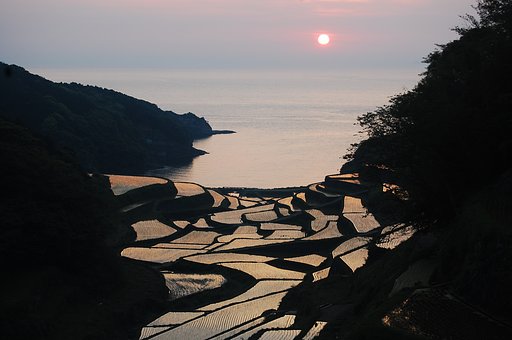 浜野浦の棚田