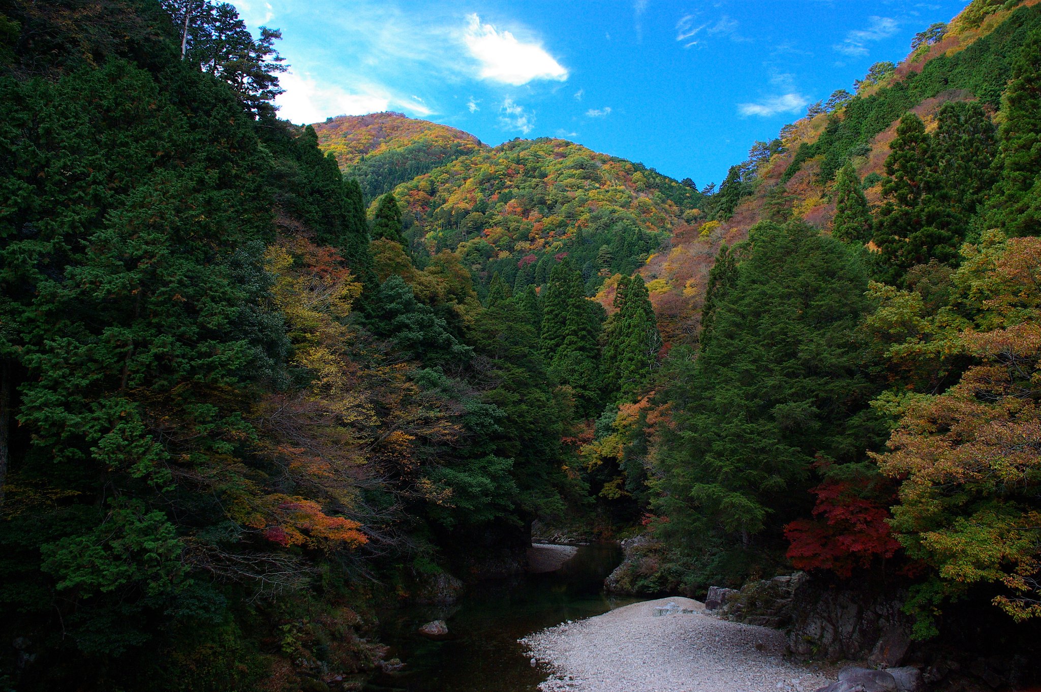 【自然】紅葉