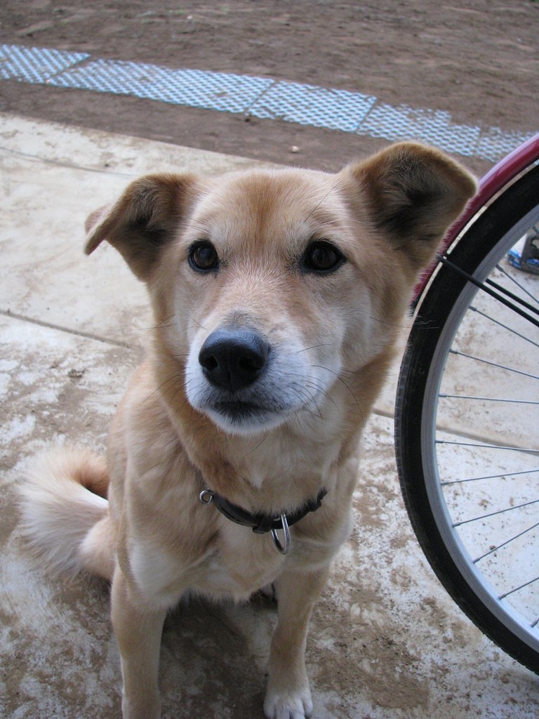 現在のももで〜す＾＾