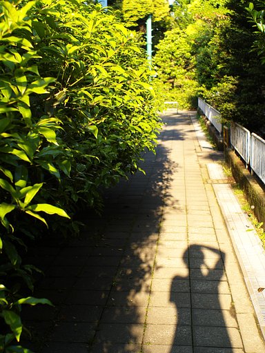 セルフポートレート