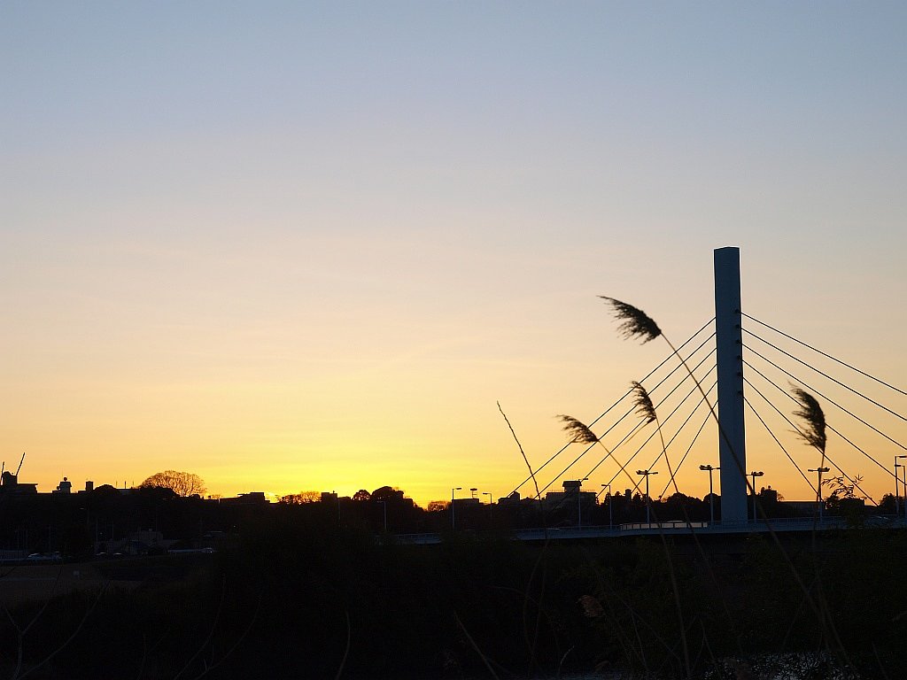 夕日
